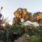 Extra Magic Hours For Guests To Enjoy Pandora: The World of Avatar At Disney’s Animal Kingdom