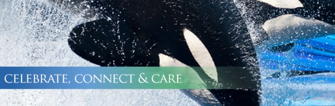 d7d260d8c6cd4f8983bad1204a6076ac_corp-mobile-mainimages-whoweare