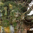 Walt Disney Imagineering and Lightstorm Entertainment Take Another Behind The Scenes For Pandora: The World Of Avatar