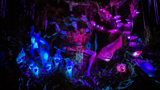 la-1493578786-0xna6xcaq0-snap-image