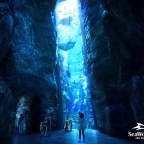 Miral CEO Gives An Update For SeaWorld Abu Dhabi To Open In 2022